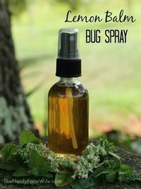 Lemon Balm Bug Spray