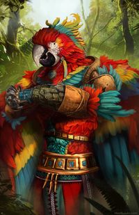 Male Aarakocra Kenku Tengu Monk - Pathfinder PFRPG DND D&D d20 fantasy