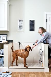 Meg Sappington bathes five-year-old hound Porter in her mudroom’s dog shower. Photograph by Stacy Zarin Goldberg.