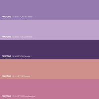 Fairy Rosette Violet Lilac Spring Pantone Color Combination · 2023 Color Swatch · #Color #Design #Trend · Kid’s Pattern