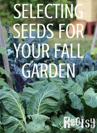 The growing season need not end with the Autumn harvest! Selecting seeds for the fall garden is the first step to successful year-round growing | Rootsy.org