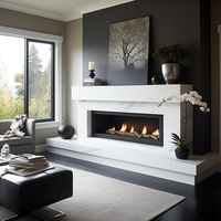 Quartz fireplace hearth & Natural stone design ideas