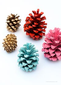 painted pinecones.