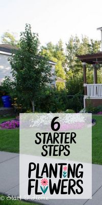 No green thumb? No problem! These simple steps will get you started with flower gardening.
