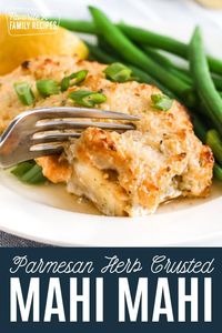 Parmesan-Herb Crusted Mahi Mahi is the perfect fish dish! Mahi Mahi is the perfect fish for this recipe. It takes on the slightly tangy flavor of the marinade as it bakes and flakes off in perfect, savory bites. For a complete meal, serve this dish with seasoned rice and roasted vegetables.