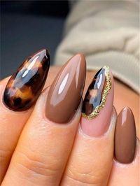 Multicolor  Collar    Color Nails Embellished   Beauty Tools