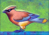 "Cedar Waxwing" 5 by 7 inches, acrylic on canvas