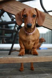 Doing what doxies do best, watching every move you make