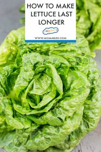 Tips to keep your salad greens fresh and salad recipes you'll to pack for office and school lunches ASAP! #lettuce #salad #lunches #keto #healthy #green