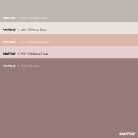 Subtle mauve mixed with shades of sand, silver and warm brown. This color palette explores soft and subtle hues of pink — with touch of greyish neutral tone. It is calm and soft, with focus more on a combination of hue rather than a contrast, with core colors alternating between coral peach and mauve chalk. · #Beige #Brown #Color #ColorPalette #Fall #FHICottonTCX #Mauve #Pantone #PA...