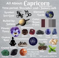 All about Capricorn Zodiac Sign