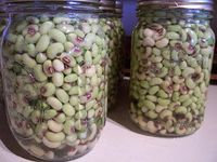 TennZen: Freezing and canning purple hull peas