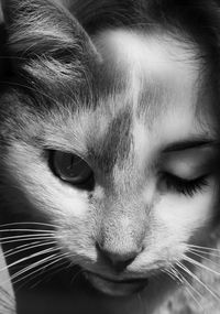 1000+ images about Lyraen Feline/Cat Beings on Pinterest | Police ...