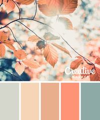 15 Downloadable Color Palettes For Fall ~ Creative Market Blog