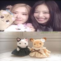 #chaennie icon