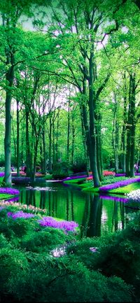 Keukenhof Gardens in Keukenhof, Netherlands