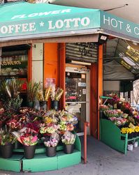 Traditional bodega, outdoor flower display