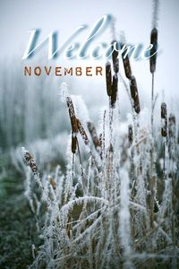 Welcome November