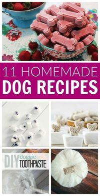 DIY Homemade Dog Recipes! Pamper your Puppy Pets with these simple and easy recipes for dog shampoo, snacks, treats, toys, freshener, odor remover, and more! #lemonpeony #dog #recipes #snacks #treats #frozen #fresh #homemade