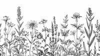 Wildflower Drawing Images - Free Download on Freepik