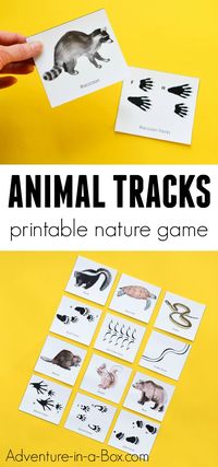 Kids will love to play and learn from this printable educational matching game, which teaches how to match animals with their tracks and where to find them! #nature #printable #homeschool #stem #education