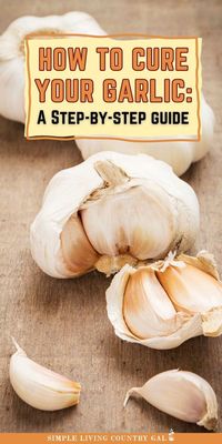 Before harvesting your summer garden, dry your garlic first. Learn how to cure garlic for use or storage in your kitchen pantry. Keep this Gardening 101 tip in your growing journal for annual reference during garlic harvest. Ensure your garlic is perfectly preserved and ready for use.