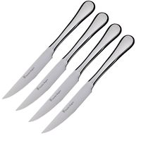 Stanely Rogers Chelsea Stainless Steel Steak Knives Set of 4 | Steak Knives - House