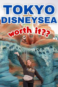 This is my families first time at Tokyo Disney and Tokyo Disney Sea. Should you visit the theme parks when you come to Tokyo? I hope this video helps you decide...