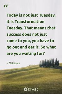 "Today is not just Tuesday, it is Transformation Tuesday. That means that success does not just come to you, you have to go out and get it. So what are you waiting for?" - Unknown  Welcome to today's vibrant resurgence of strength. It’s the perfect day to charge ahead on your journey. #trvst #quotes #dogood #bethechange #TuesdayQuotes #TransformationTuesday #SuccessMindset  📷 @patwhelen