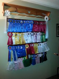 Horse shw ribbon display Love this idea-a bit too many ribbons for my preference--I like to spread mine around the house, but a good idea.