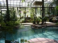 Pool in a greenhouse..this would solve all my problems! Lol. Well, maybe not ALL..but definitely A LOT of them! Lol