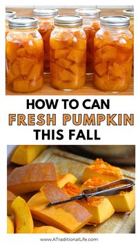 Pressure Canning Pumpkin - This pressure canning for beginners recipe is so easy to do with your fall pumpkin harvest! Learn how to can pumpkin chunks safely in a pressure canner! Start canning pumpkin in your kitchen, so you can have your own pumpkin puree on hand throughout the year to use in your favorite recipes. #pumpkin