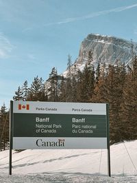 Banff National Park | Jasper National Park | Peyto Lake| Hike| 2022 | Canadian Winter | Canadain Rockies | Bow Valley Parkway | Canada | Cloudly | Snow | Banff Road Trip | Ultimate Guide Banff | February 2022 | Film Photography |Mountains