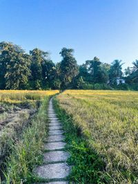 Au cours de ce voyage inoubliable au Sri Lanka, vous aurez l’occasion de découvrir l’influence anglaise à travers l’architecture de Colombo, la culture bouddhiste à Anuradhapura, les paysages luxuriants de Nuwara Eliya que vous pourrez admirer à bord d’un train panoramique, et les marchés locaux colorés qui vous donneront un aperçu de la vie quotidienne de la population locale. Vous aurez également la chance de déguster le délicieux thé sri lankais et de visiter des sites historiques majeurs tels que Dambulla et Kandy. Grâce à ce voyage au Sri Lanka sur mesure préparez-vous à vivre une expérience authentique et enrichissante au cœur de l’une des destinations les plus fascinantes d’Asie.