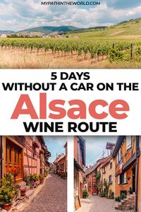 Planning an Alsace wine trail itinerary? I'm here to help. From its vineyard landscapes to its colorful villages, this is as scenic as it gets, and I got to enjoy this area in France and its highlights using only public transportation. So if you wish to do the same, here are my very best travel tips.