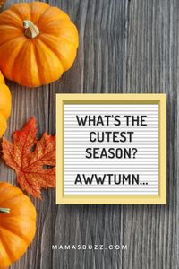 Goodbye summer, hello fall! It's time for autumn quotes to decorate your home and update your instagram captions. These short fall quotes and sayings are exactly what you're looking for!