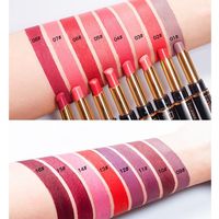 2 in 1 Waterproof Matte lipstick – Clasiv