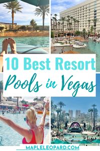 Are you planning a vacation to Las Vegas? Check out my expert Local's guide for the best pool experiences in Vegas | Las Vegas Travel | Las Vegas Pools | Las Vegas Pool Guide| Where to Swim in Vegas| Vegas travel| Las Vegas Travel| Best Pools in Vegas| #lasvegas #lasvegastravel #vegaspools