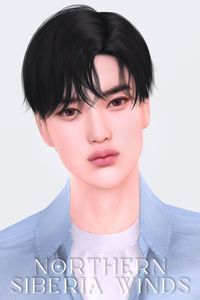 | northernsiberiawinds | ts4cc | male | skin | face detail | genetics | make-up | presets | skin overlay | skin n10 a | skin n10 b | male lips presets n11-n18 | epicanthus n1-n2 | eyelashes 2d n3 | eyeliner n2 | eyeshadows n4 | eyes n20-n25 |