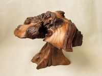 The Driftwood Art from an Old Oak Burl Wood. The Mushroom Sculpture from an Exotic Wood. The Art Objects for Dark Academia Decor Room.