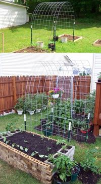 19 Successful Ways to Building DIY Trellis for Veggies and Fruits