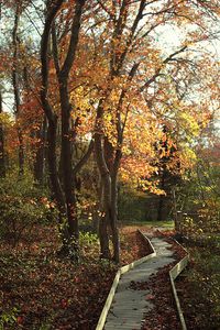 7. Norman Bird Sanctuary, Middletown