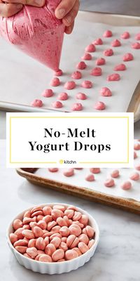 How To Make Yogurt Bites | Kitchn