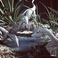 ArtStation - JURASSIC PARK : ORIGINS COMPSOGNATHUS, JULIEN ROMEO