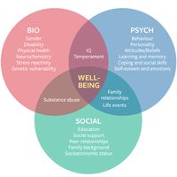 The alarming hijacking of the BioPsychoSocial model | Human Givens Institute