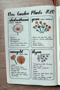 Blooming Pages: 10+ Gardening Bullet Journal Ideas - Crazy Laura