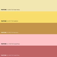 Narcissus Rosé Patnone Yellow Pink Color Palette · The Narcissus Rosé color palette, a sun-dappled sonata, orchestrates a symphony of hues celebrating the enchanting interplay of sunlight and blossoms in a summer afternoon. · Creative Color Aesthetic · #Color #ColorPalette #FHICottonTCX #Pantone #PANTONE11-0616TCXPastelYellow #PANTONE12-0737TCXGoldfinch #PANTONE12-1708TCXCrystalRose #PAN...