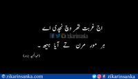 اج غربت تھر وچ نچدی اے  ہر  مور  مرن   تے  آیا  ہیھ  #abdulmajeed #zikarinsanka #urdu_poetry_sms #urdu #poetry