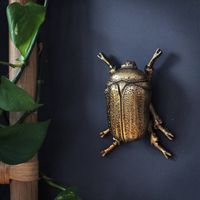 Scarab Beetle Wall Ornament By Sophie MacBain | notonthehighstreet.com