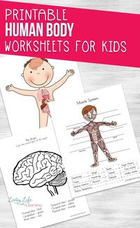 Try these cool human body worksheets for kids. These science worksheets will introduce the human body organs and their functions to your kids in an engaging and fun way. Human body activities for each of the human body systems that your kids can enjoy. #humanbody #biology #science #homeschool #homeschoolscience #LivingLifeandLearning